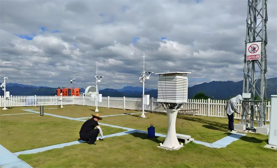 严慎细实，云霄输电业务全力防抗台风“桦加沙”